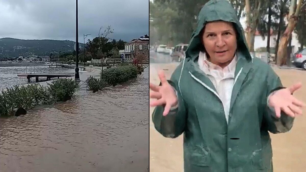 Foça felaketi yaşıyor: “160 kilogramı aştı” Foça felaketi yaşıyor: “160 kilogramı aştı”