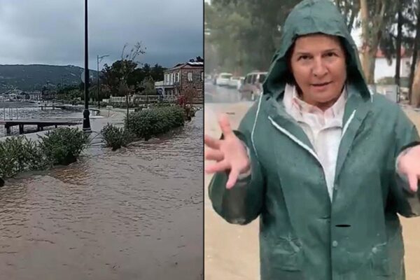 Foça felaketi yaşıyor: “160 kilogramı aştı” Foça felaketi yaşıyor: “160 kilogramı aştı”