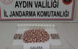 Aydın’da zehir otomobiline operasyon: 17 yaşındaki şüpheli yakalandı Aydın’da zehir otomobiline operasyon: 17 yaşındaki şüpheli yakalandı