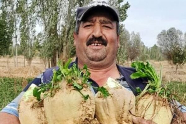 Kanlı tartışma: Yeğeninin eski eşi tarafından taba...