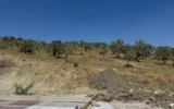 Fay hattının dibindeki sondaja mahkeme freni! Fay hattının dibindeki sondaja mahkeme freni!