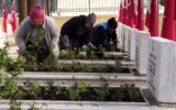 Manisa Büyükşehir Belediyesi şehitlikleri 18 Mart’a hazırladı