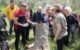 Seferihisar Belediyesi ve İlçe Tarım’dan Müdürlüğü... Seferihisar Belediyesi ve İlçe Tarım’dan Müdürlüğü...