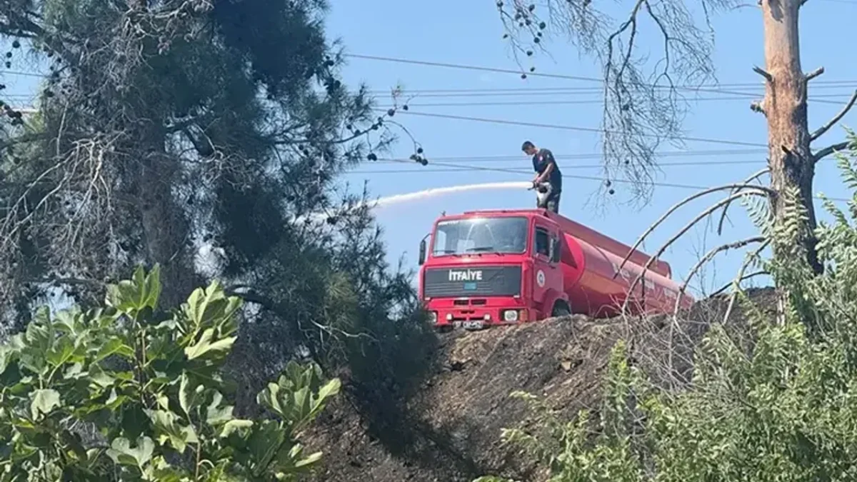 Antalya’da 2 orman yangını!