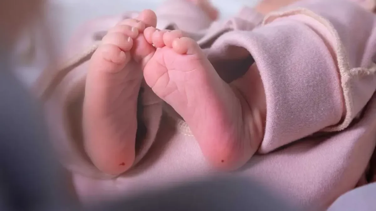 16 yıllık bebek cinayetini topuk kanı çözdü! 16 yıllık bebek cinayetini topuk kanı çözdü!