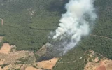 Muğla’da orman yangını!