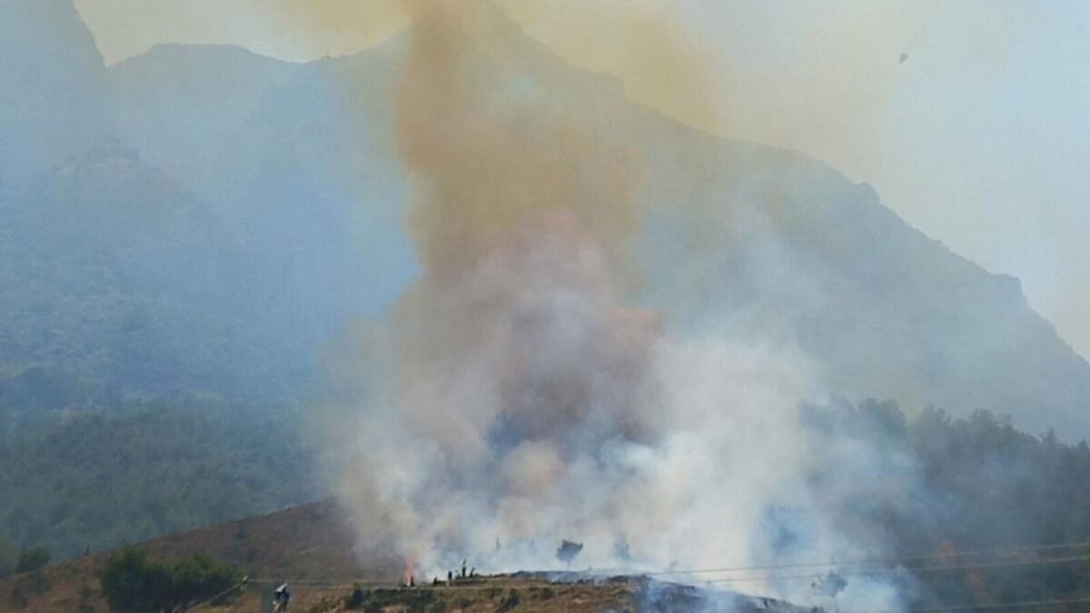 Manisa’da orman yangını: Kontrol altına alındı